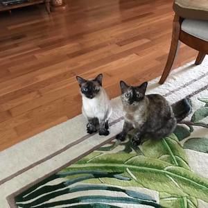 Meet your Posher, Vicki